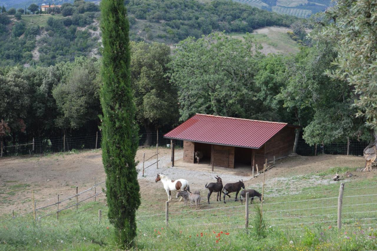 Bellavista Villa Seggiano Kültér fotó