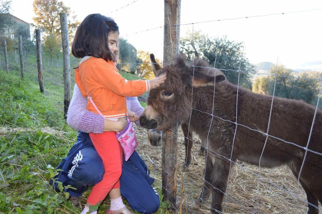 Bellavista Villa Seggiano Kültér fotó