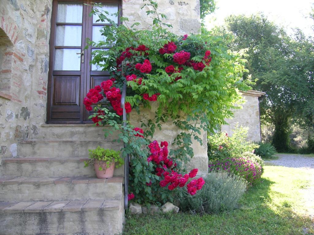 Bellavista Villa Seggiano Kültér fotó