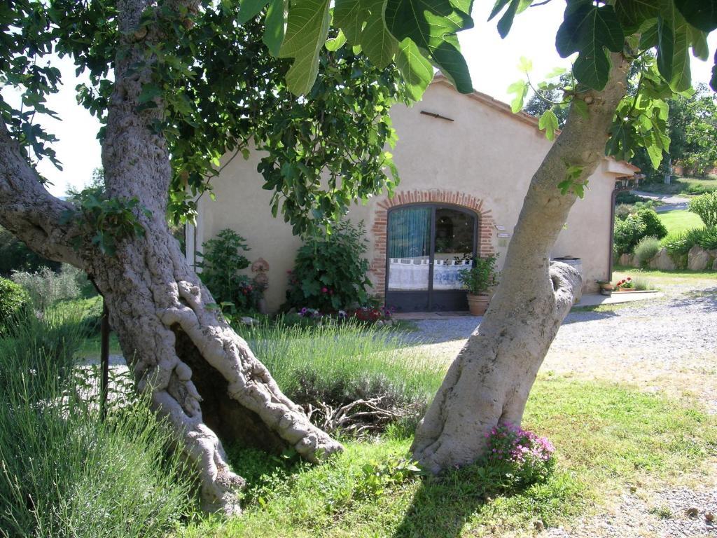 Bellavista Villa Seggiano Kültér fotó