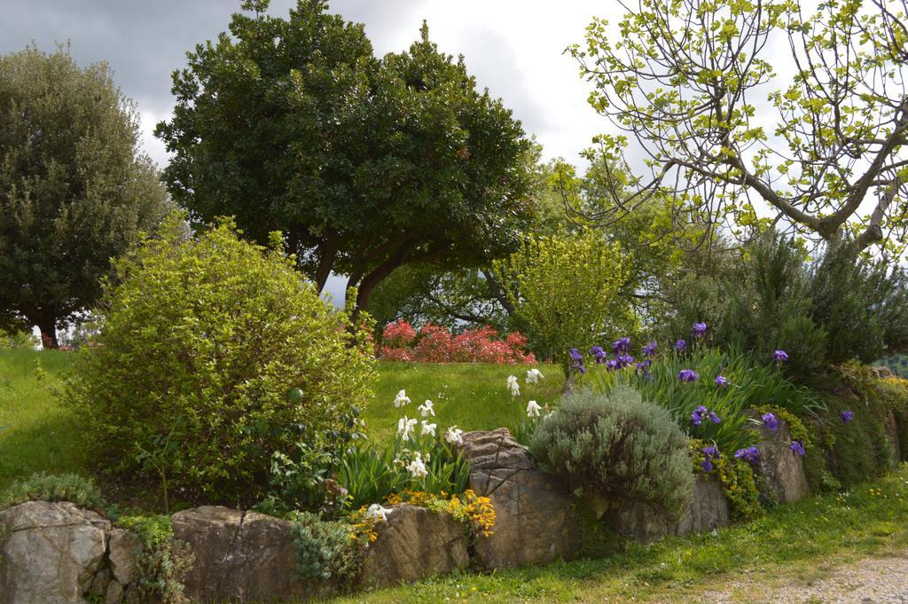 Bellavista Villa Seggiano Kültér fotó